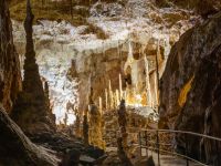 Bärenhöhle (Peștera Urșilor) in Rumänien