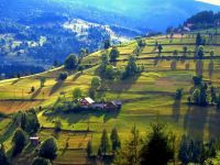 Bihor-Gebirge (Munții Bihorului) in Rumänien