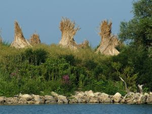 Donaudelta (Danube Delta) UNESCO-Weltkulturerbe Rumänien