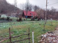 immobilienmakler rumaenien bauernhof grundstueck westkarpaten siebenbuergen apuseni gebirge 16