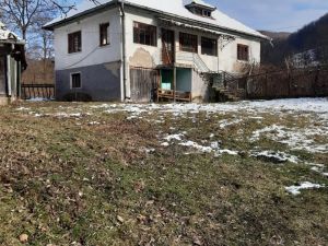immobilienmakler rumaenien bauernhof grundstueck westkarpaten siebenbuergen apuseni gebirge 25