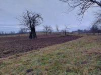 immobilienmakler rumaenien bauernhof grundstueck westkarpaten siebenbuergen apuseni gebirge 33