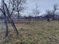 immobilienmakler rumaenien bauernhof grundstueck westkarpaten siebenbuergen apuseni gebirge 34