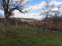 immobilienmakler rumaenien bauernhof grundstueck westkarpaten siebenbuergen apuseni gebirge 41