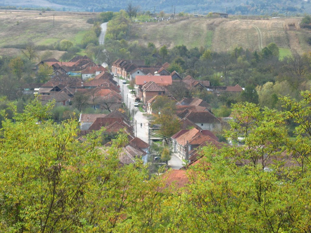 Dorf Vărzarii de Jos im Deutschen Siedlungsgebiet Apuseni-Gebirge in Rumänien