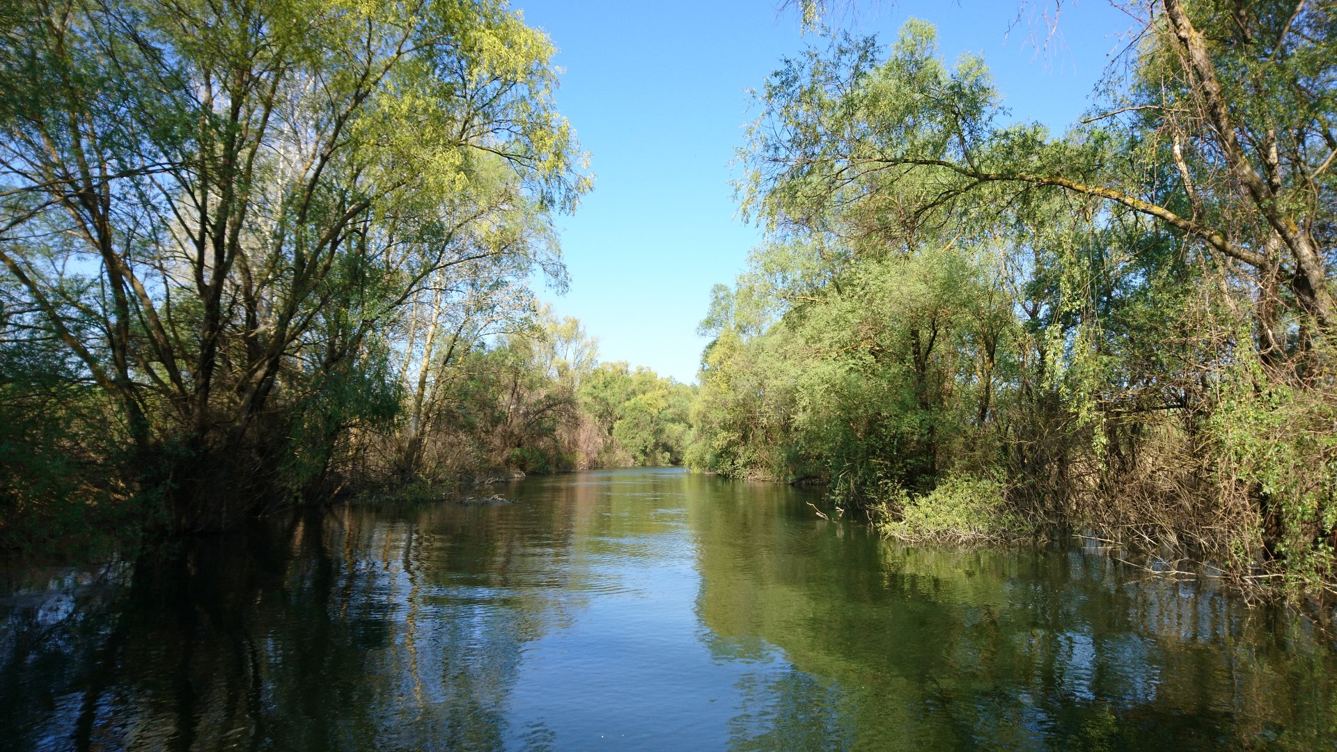 Biosphärenreservat Donaudelta (UNSESCO-Weltkulturerbe) in Rumänien